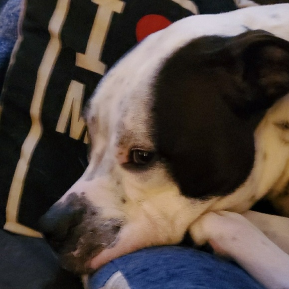 Meet your Posher, Scott - Picture 1 of 1